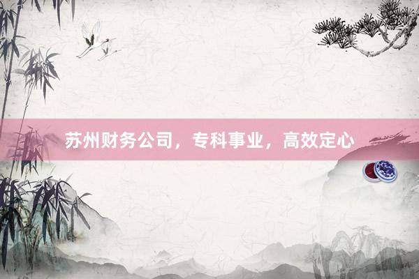 苏州财务公司，专科事业，高效定心